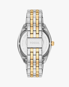 Fossil Campbell Bicolor